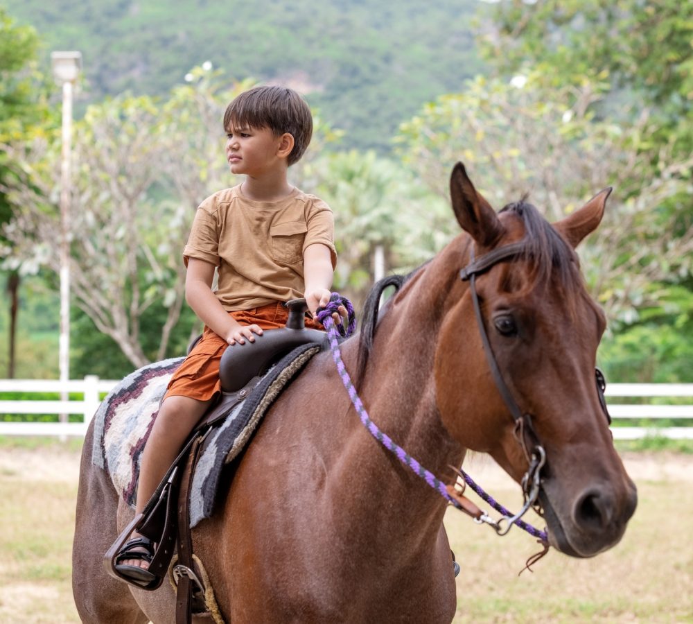 portrait-of-little-boy-riding-a-horse.jpg